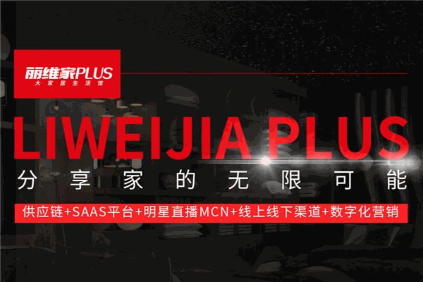 丽维家全屋定制